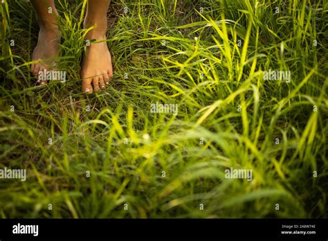 nude junior|1,175 Young Naturism Stock Photos & High